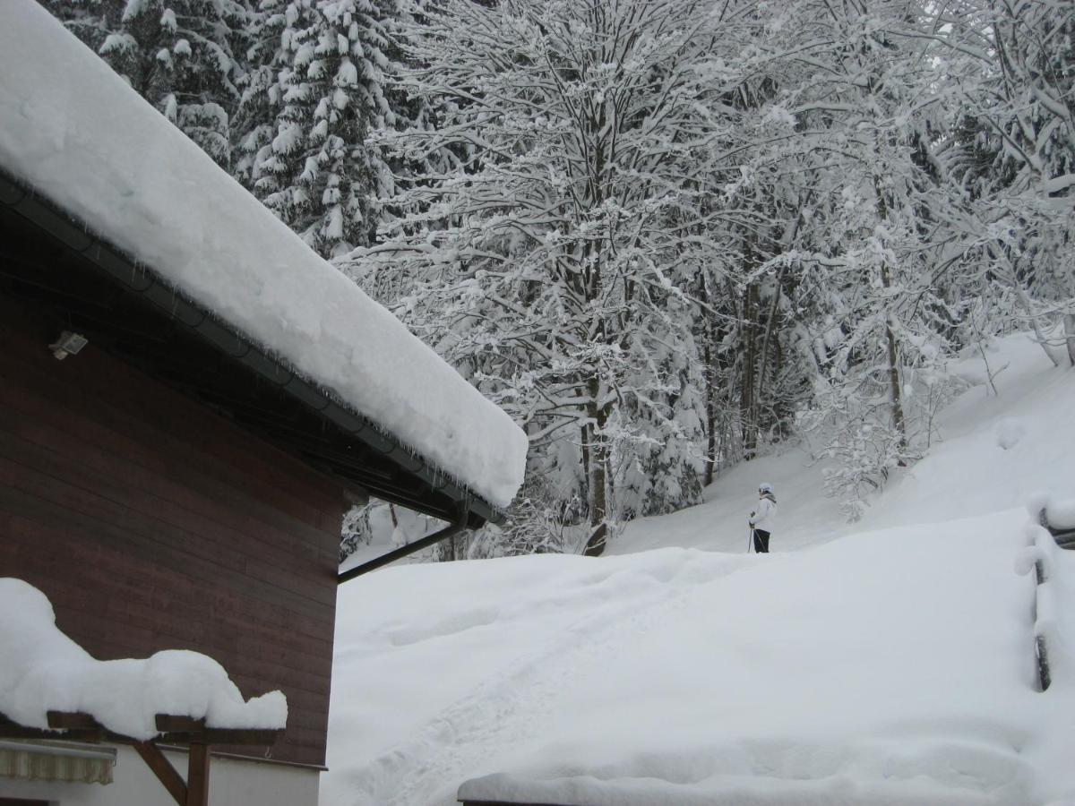 צל-אם-זי Ski-In Ski-Out Chalet Kriekels - By Alpen Apartments מראה חיצוני תמונה