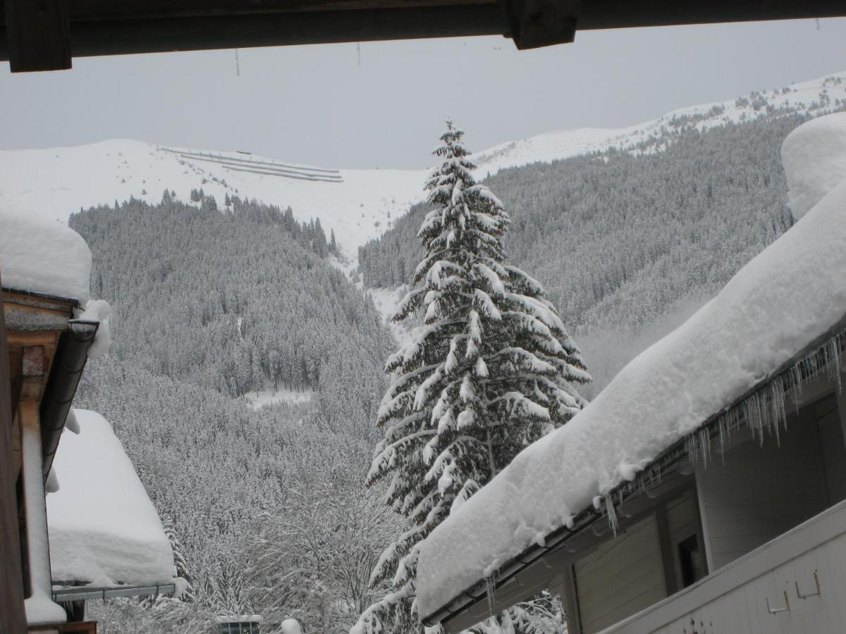 צל-אם-זי Ski-In Ski-Out Chalet Kriekels - By Alpen Apartments מראה חיצוני תמונה